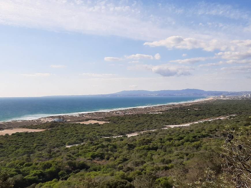 Lugar Paisaje Protegido da Arriba Fóssil de la Costa de Caparica