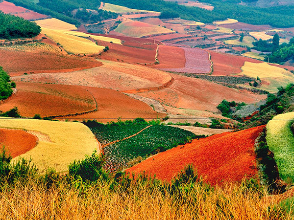 Place Dongchuan