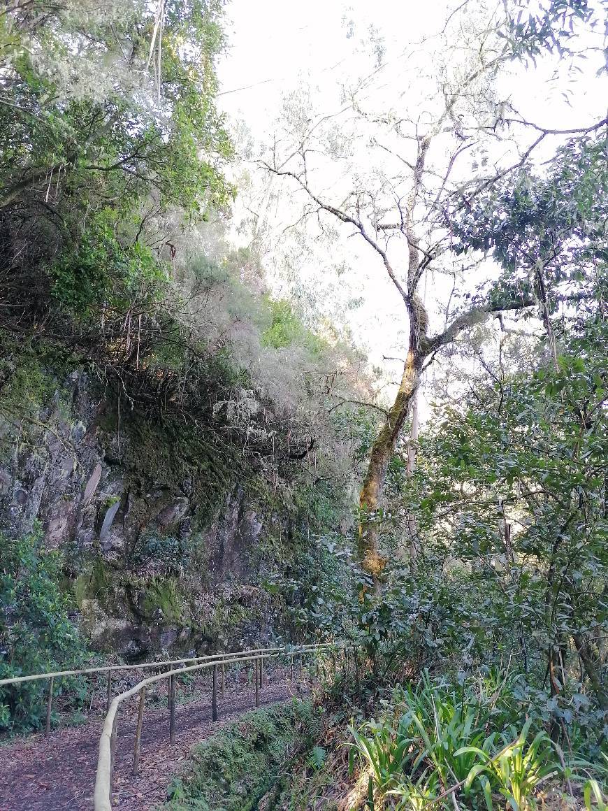 Places Pico das Pedras (levada) 