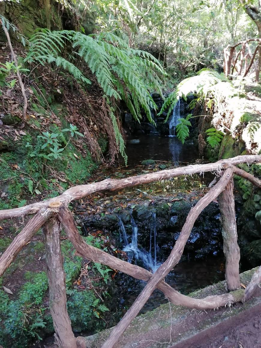 Places Pico das Pedras (levada) 