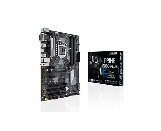 ASUS PRIME B360-PLUS - Placa Base ATX Intel de 8a y 9a