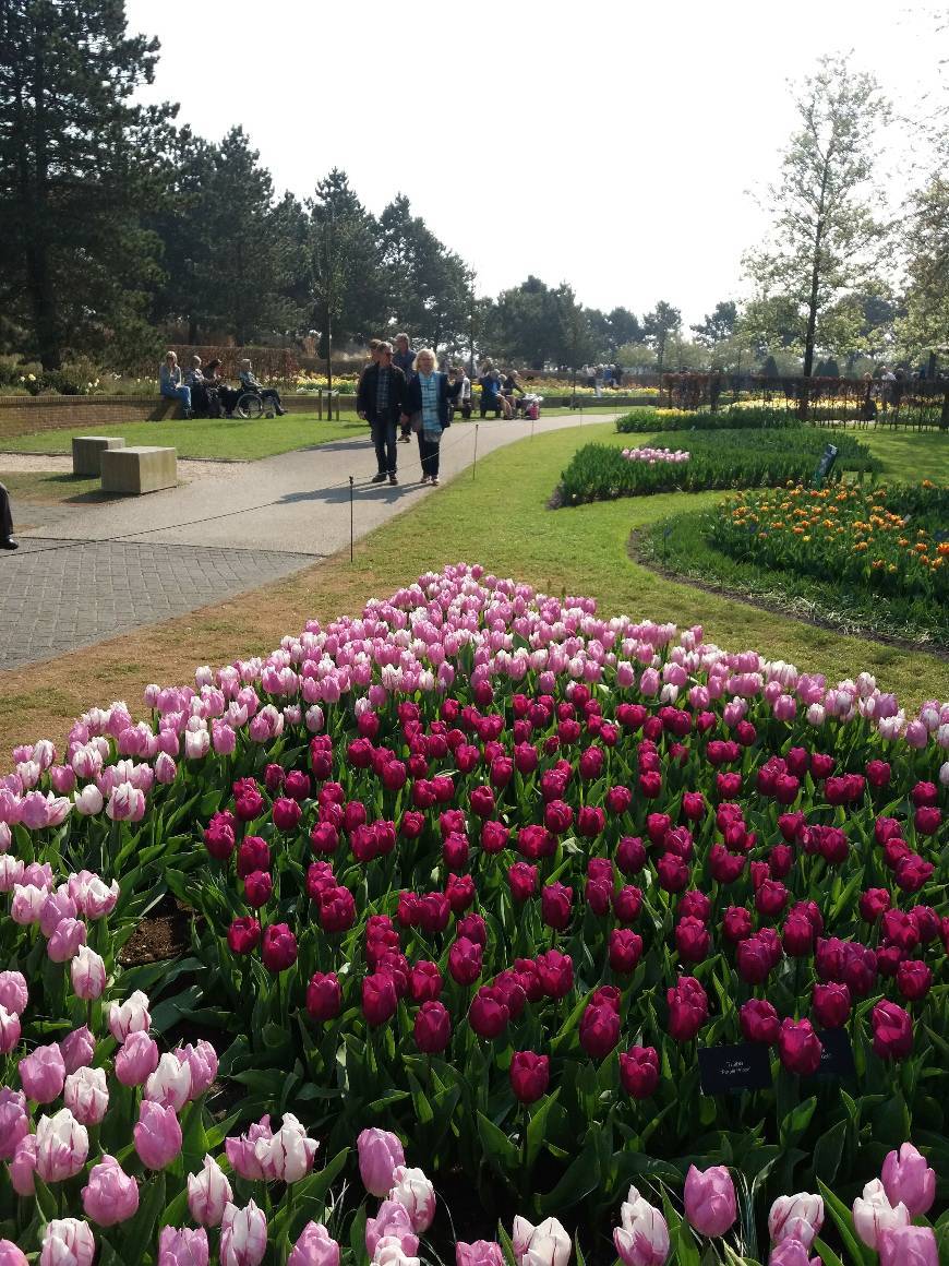 Lugar Keukenhof