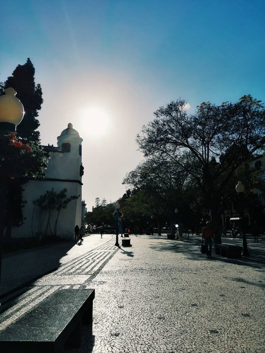 Place Funchal