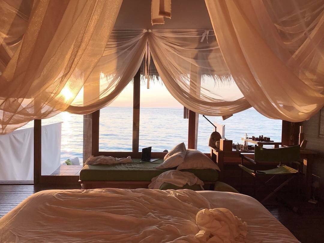 Social Lazy&Beautiful