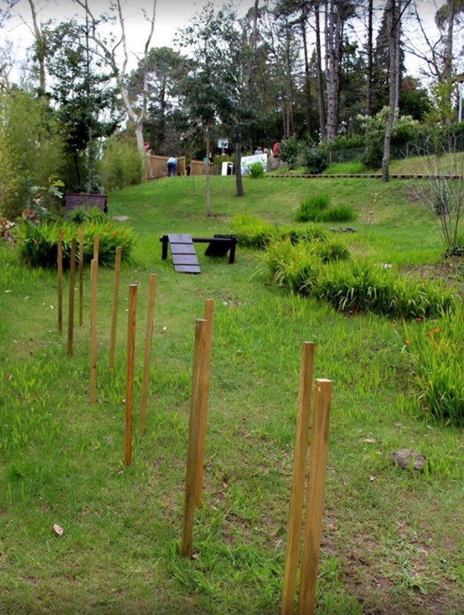 Moda Parque Canino em São João da Madeira