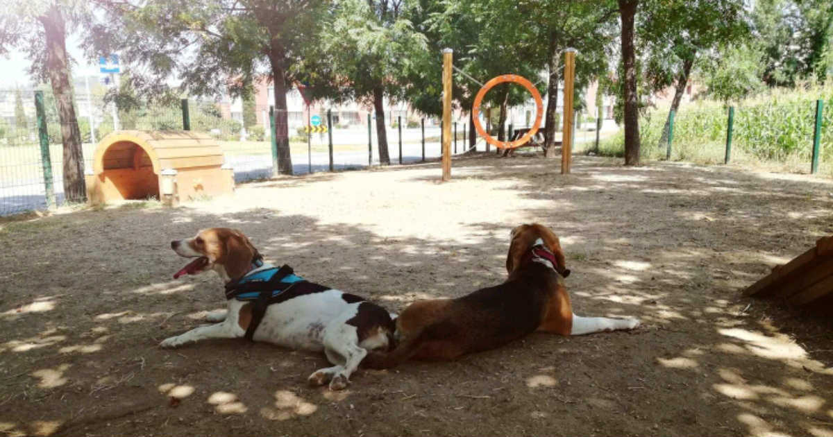 Moda Parque Canino de Nogueiró