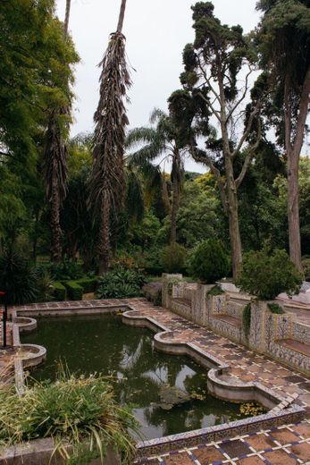 Tropical Botanical Garden