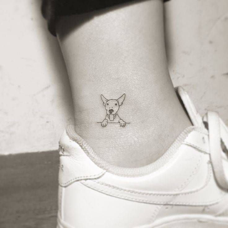 Social Tatto 🐶