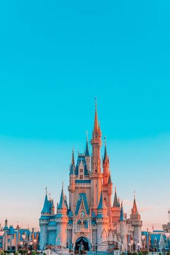 Cinderella's castle 💙