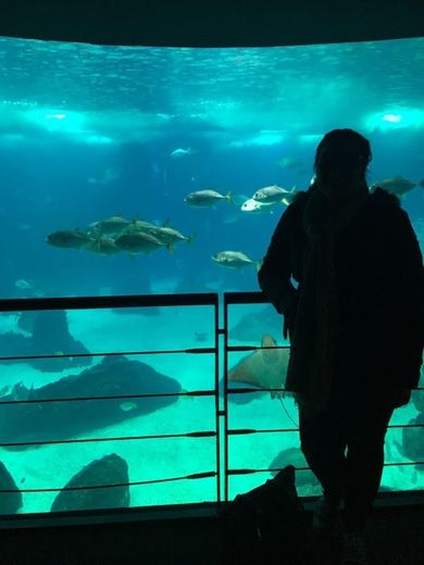 Oceanario de Lisboa