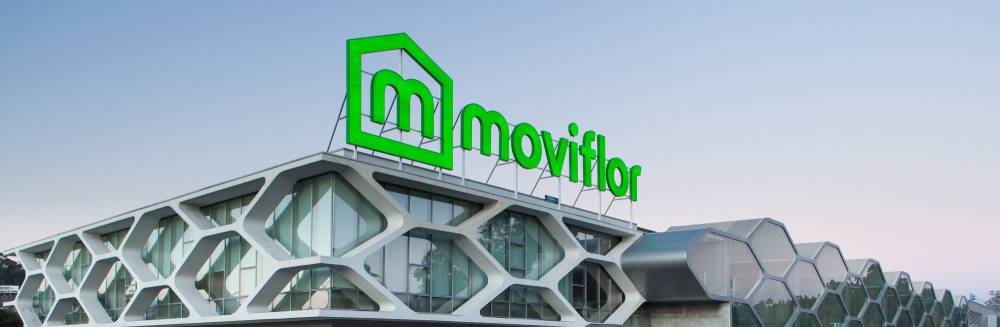 Lugar Moviflor Aveiro