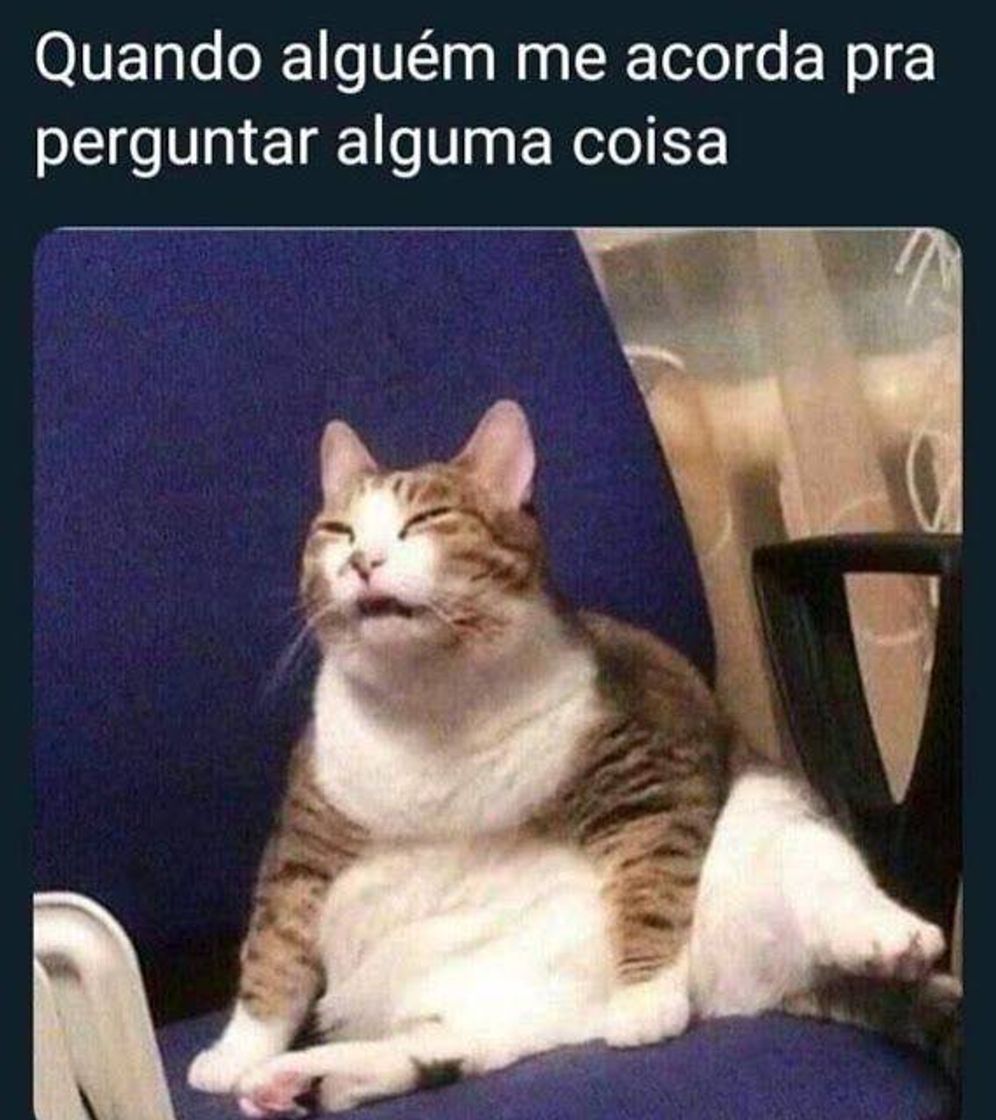 Moda É o quê? 😂🤣