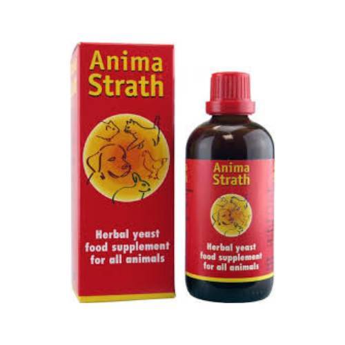 Fashion Anima strath 100ml