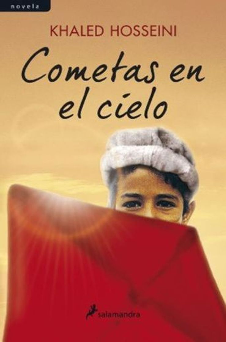 Book Cometas en el cielo