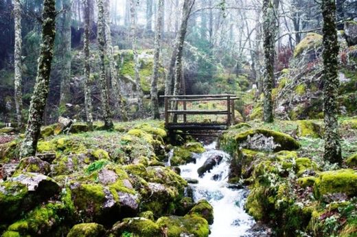 Parque Biológico da Serra das Meadas - Lamego