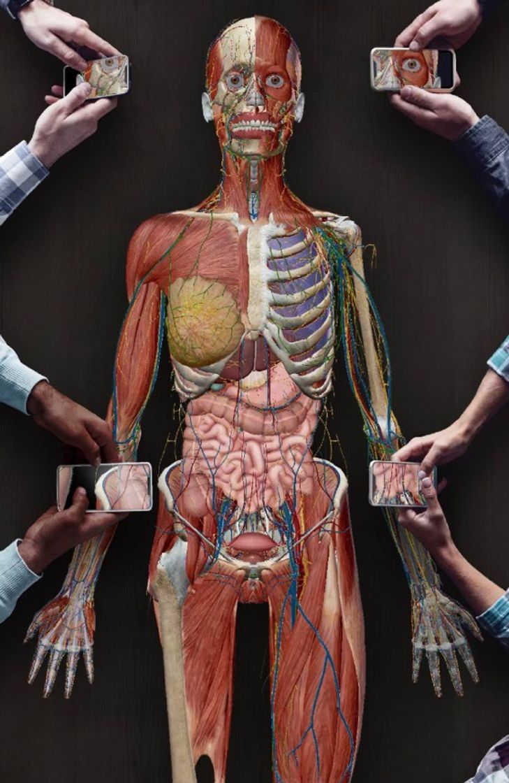 Apps ‎Atlas de anatomía humana 2021 en App Store