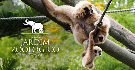 Jardim Zoológico de Lisboa