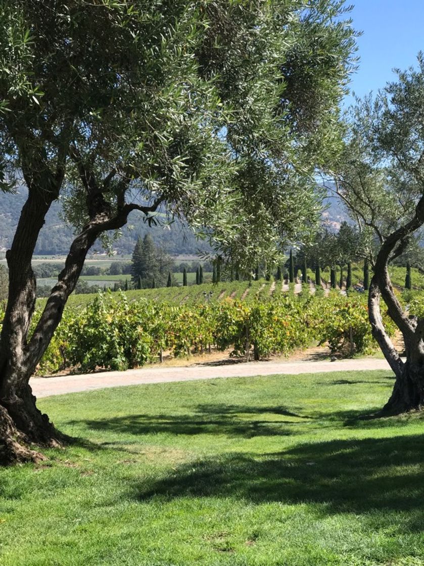 Place Valle de Napa
