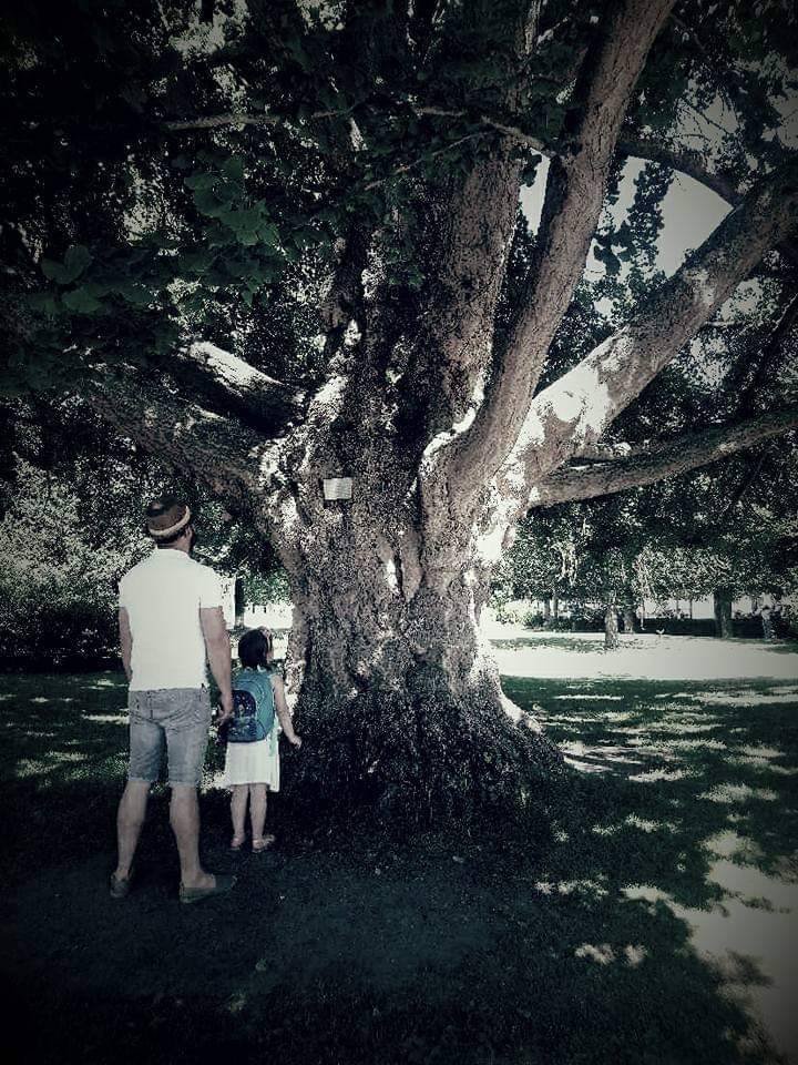 Place Jardin des Plantes