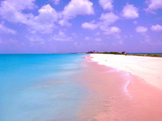 Pink Sand beach