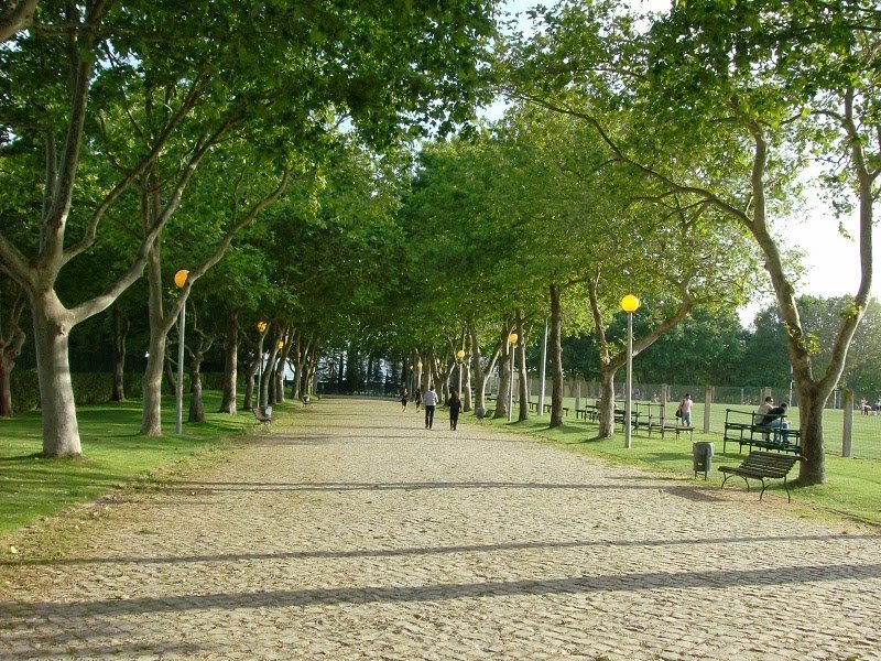 Lugar Parque Municipal de Loulé