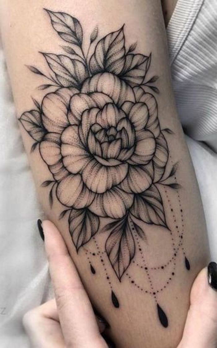 Social Tatuagem 