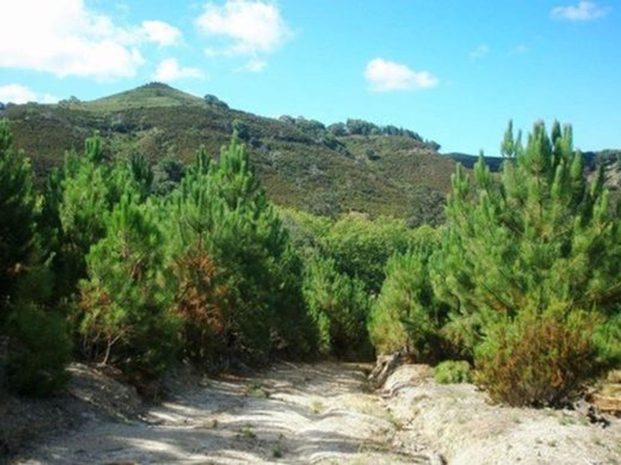 Lugar Tapada Nacional de Mafra