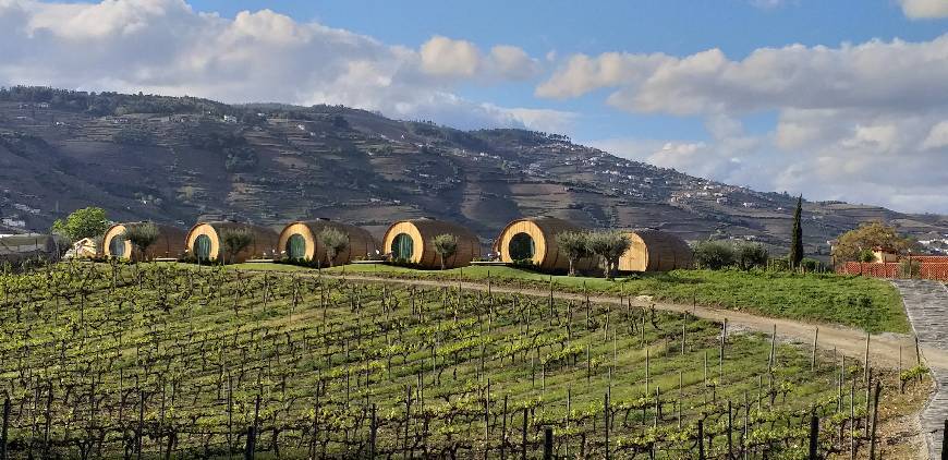 Lugar Quinta da Pacheca