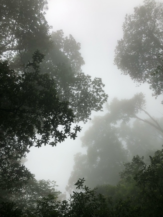 Place Cerro de Chipinque