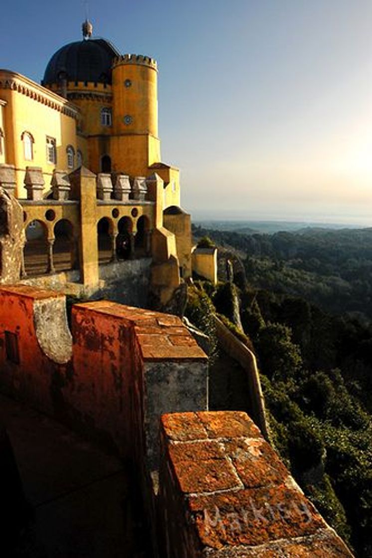 Social SINTRA-LOCAL DE SONHO