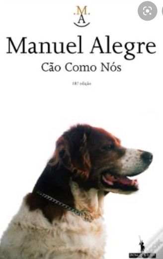 Books Um cão como nós