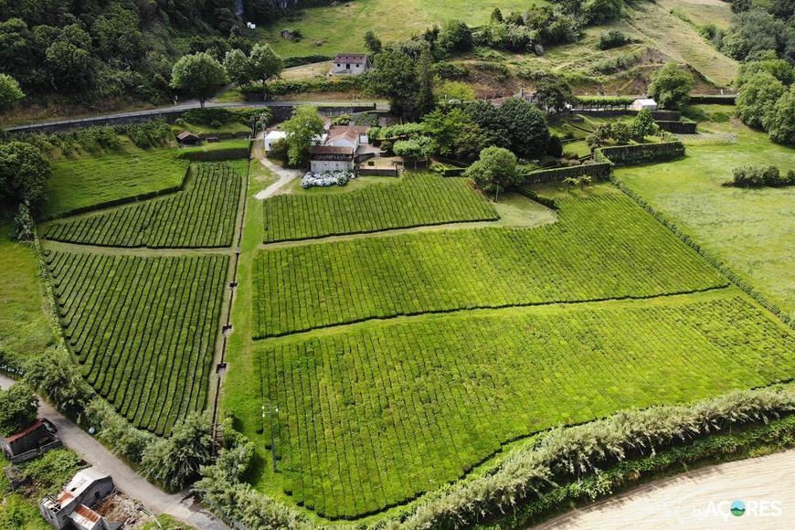 Lugar Fábrica de Chá do Porto Formoso