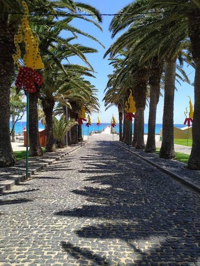 Place Porto Santo