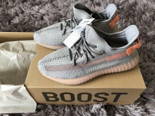 Adidas Yeezy Boost 350 V2 True Form