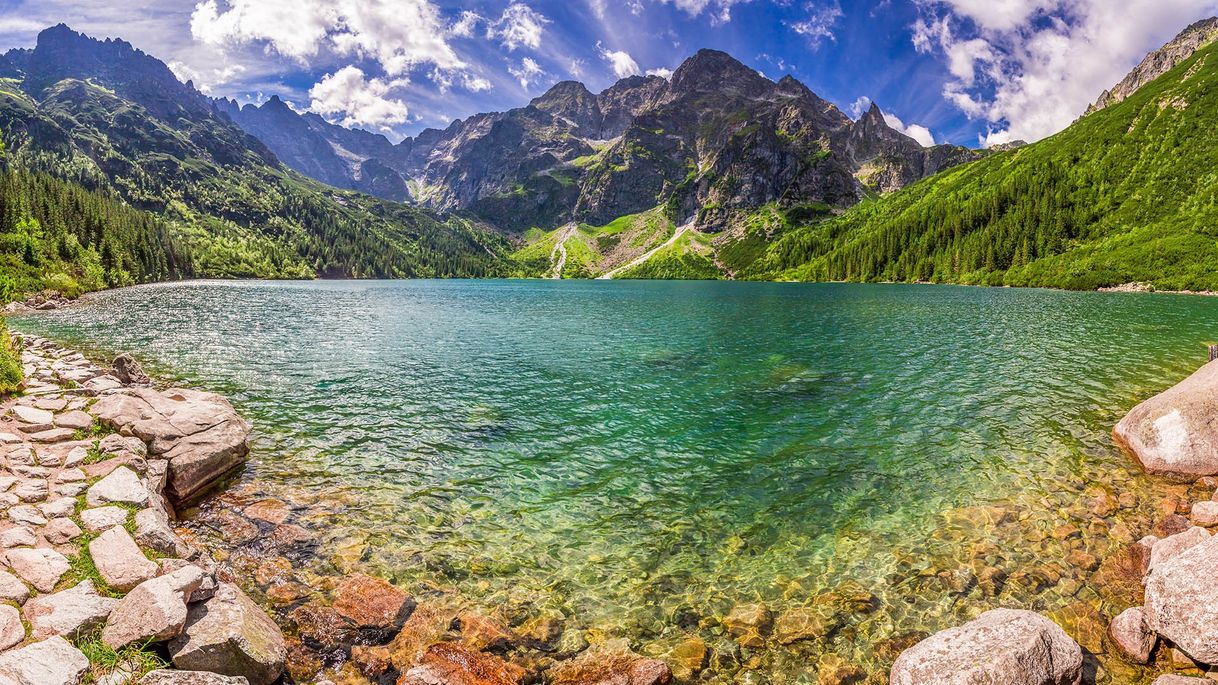 Restaurants Morskie Oko