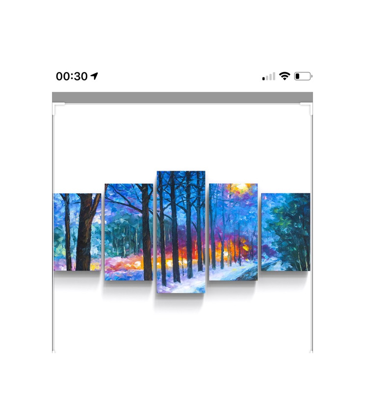 Producto Conjunto 5 quadros paisagem do bosque