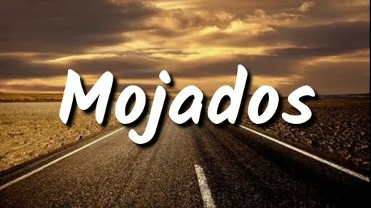 Mojados - Willie Gomez (Official Video) - YouTube