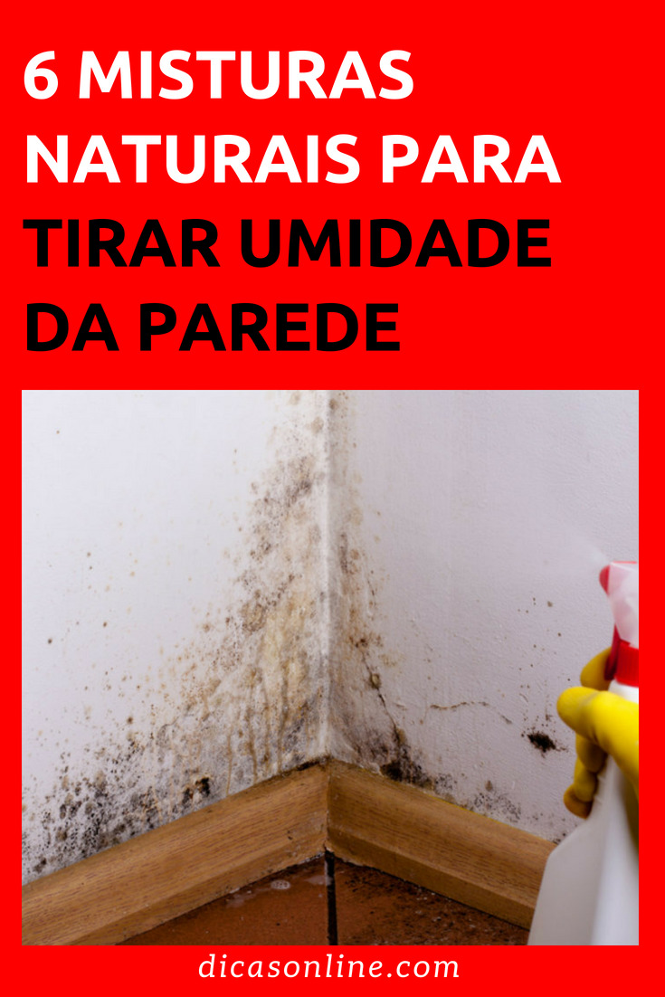 Social 6 misturas naturais para tirar humidade da parede