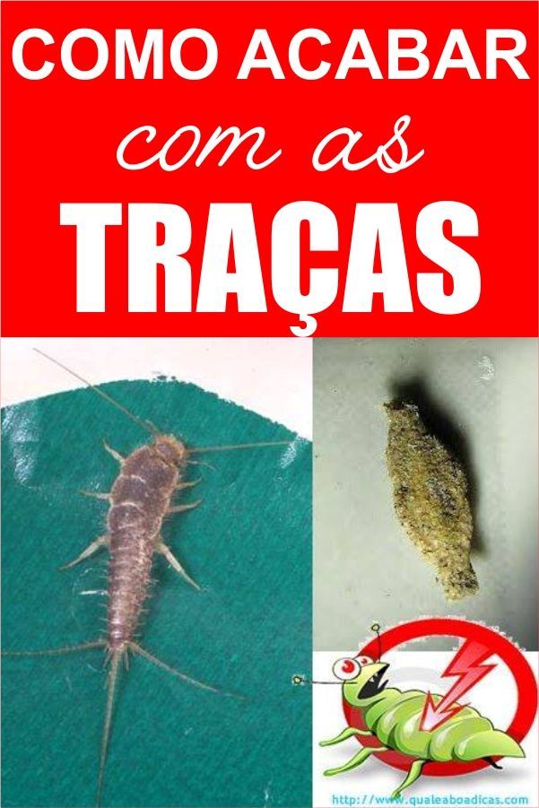 Producto Como acabar com as traças 