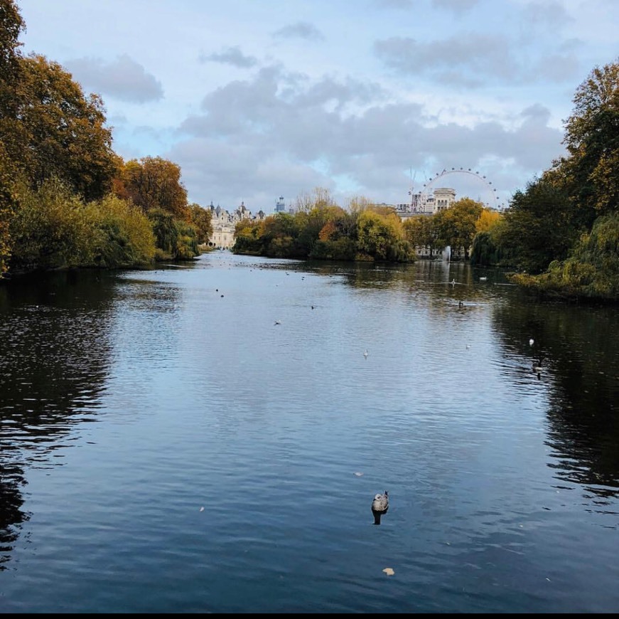 Lugar St. James's Park