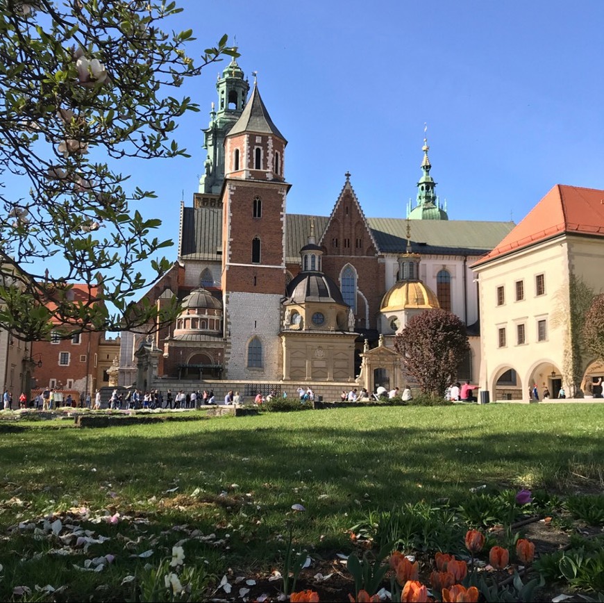 Lugar Castillo de Wawel