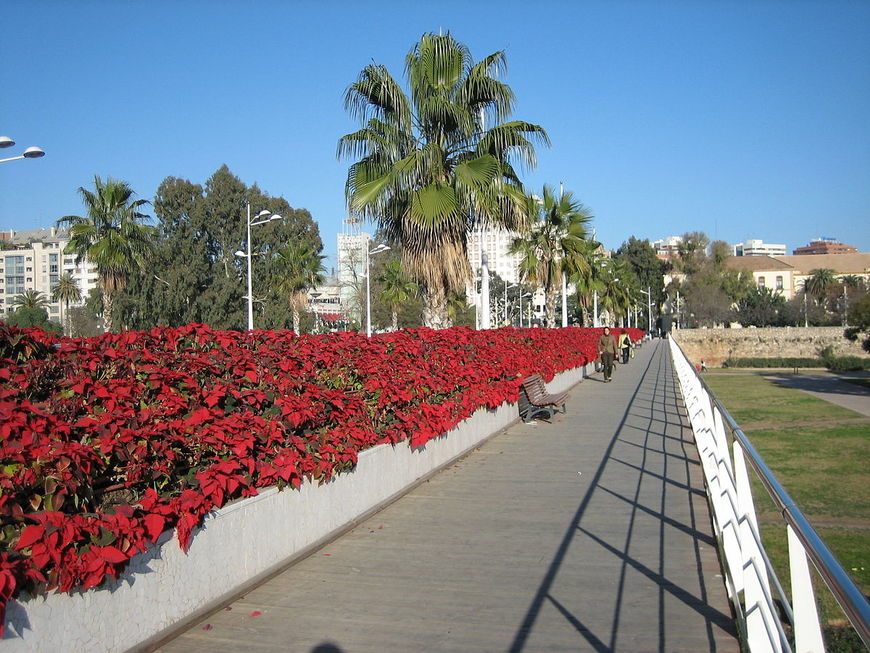 Lugar Puente de las Flores