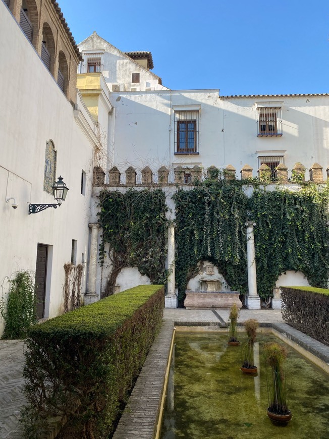 Place Alcazar de Sevilla