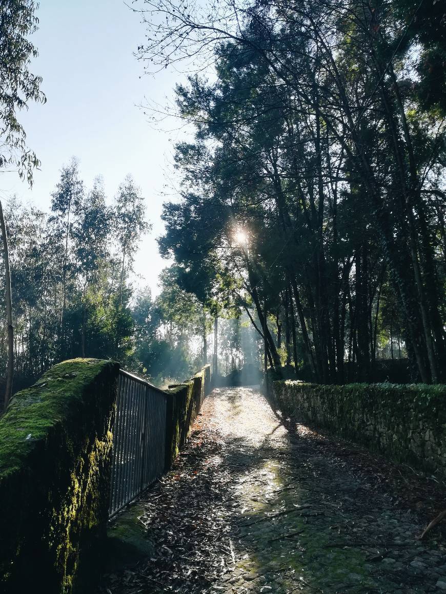 Lugar Castro de Alvarelhos