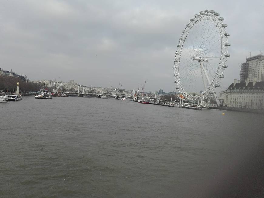 Place London Eye