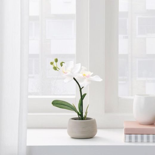Orquídea branco-artificial 