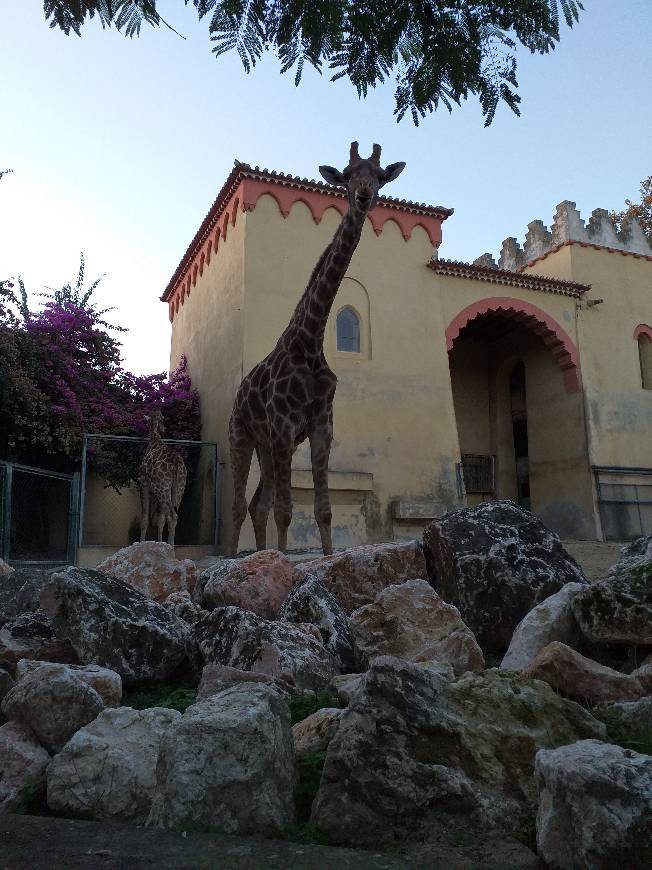 Lugar Jardim Zoológico de Lisboa