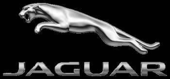 Social Jaguar