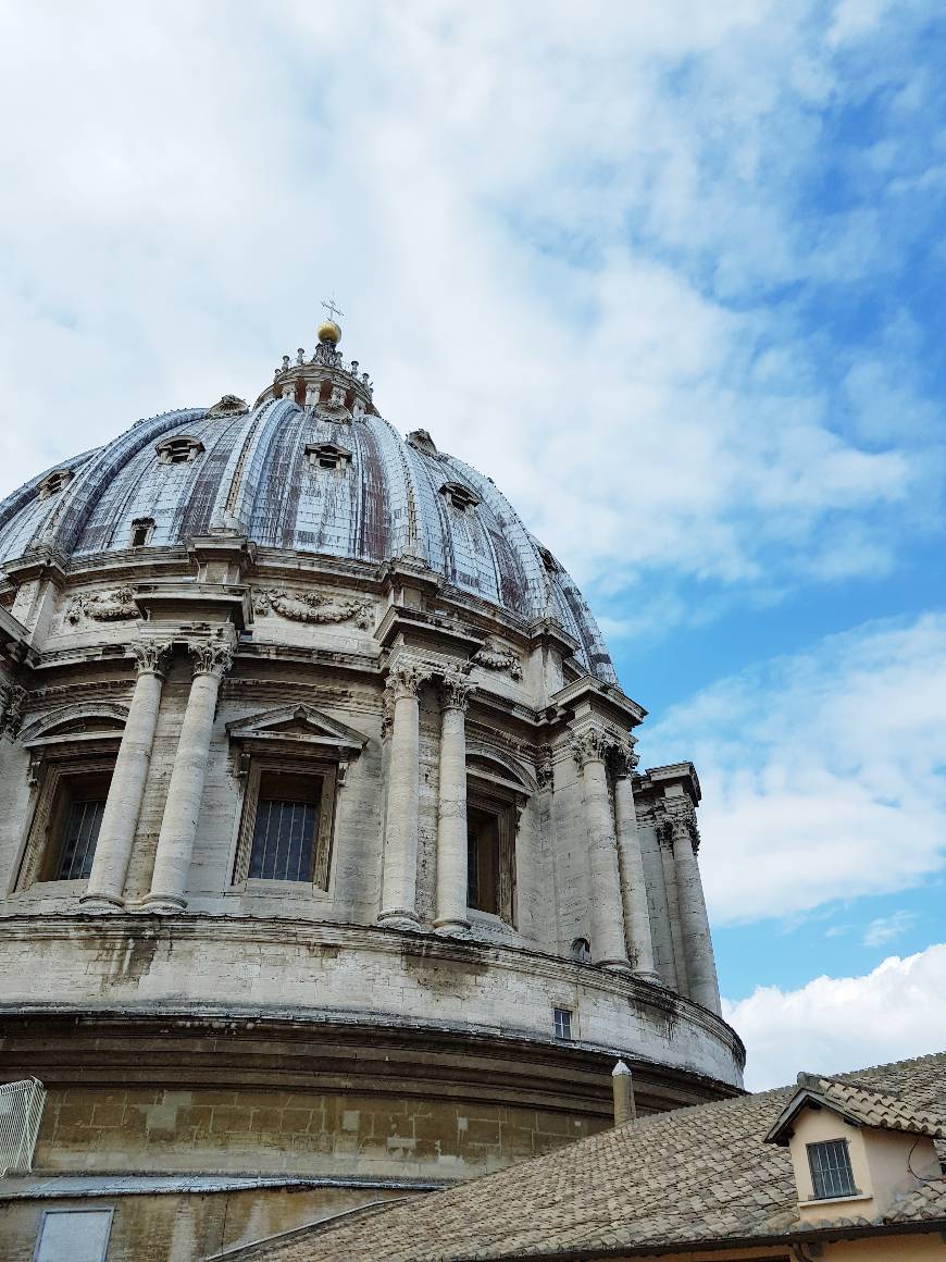 Place Basílica de San Pedro