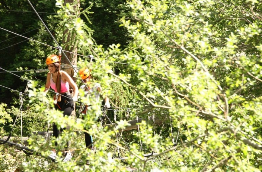 Places Forest Fun Park Zermatt